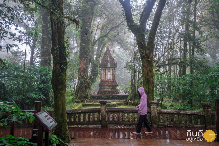 ดอยอินทนนท์ ดอยเชียงใหม่ 