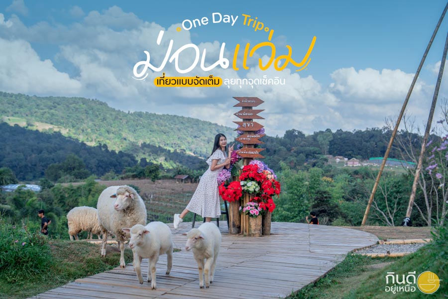 One Day Trip ม่อนแจ่ม