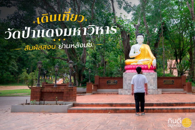 วัดป่าแดง