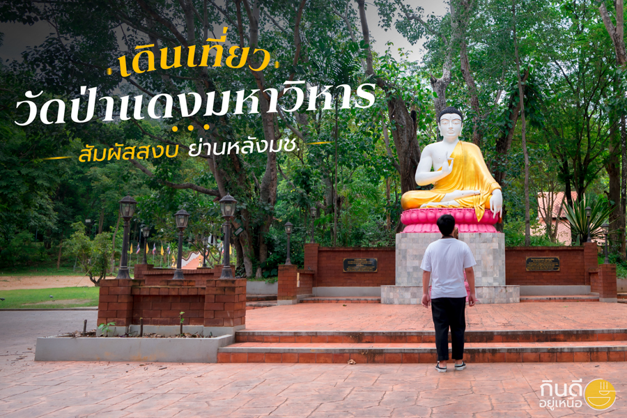 วัดป่าแดง