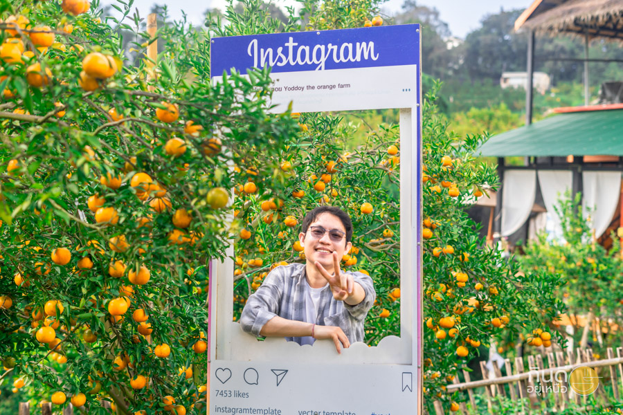 มุมถ่ายรูปสวนส้ม