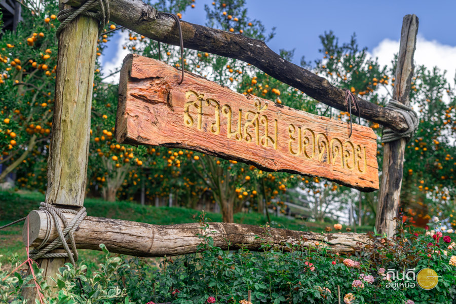 สวนส้ม แม่ริม