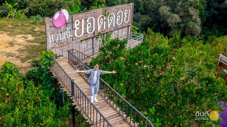 วิวสวนส้ม