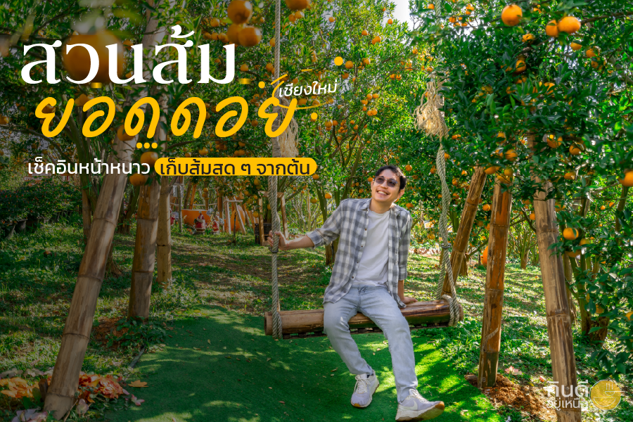 สวนส้มยอดดอย