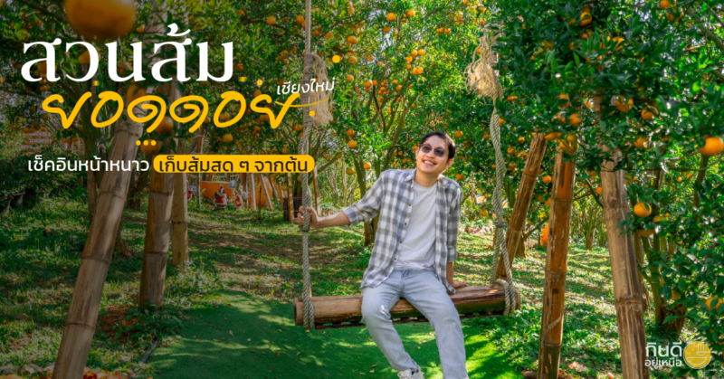 สวนส้มยอดดอย ม่อนแจ่ม Album