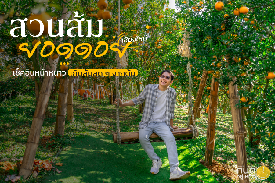 สวนส้มยอดดอย-ม่อนแจ่ม-Article.png